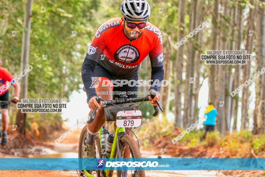 8ª Ultramaratona Pata de Onça - Domingo