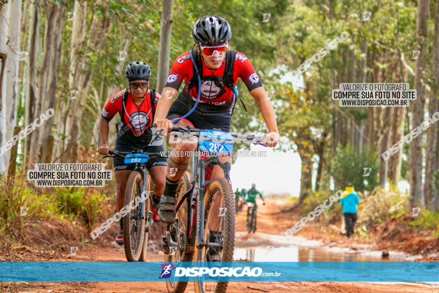 8ª Ultramaratona Pata de Onça - Domingo