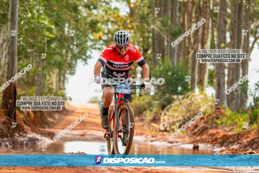 8ª Ultramaratona Pata de Onça - Domingo