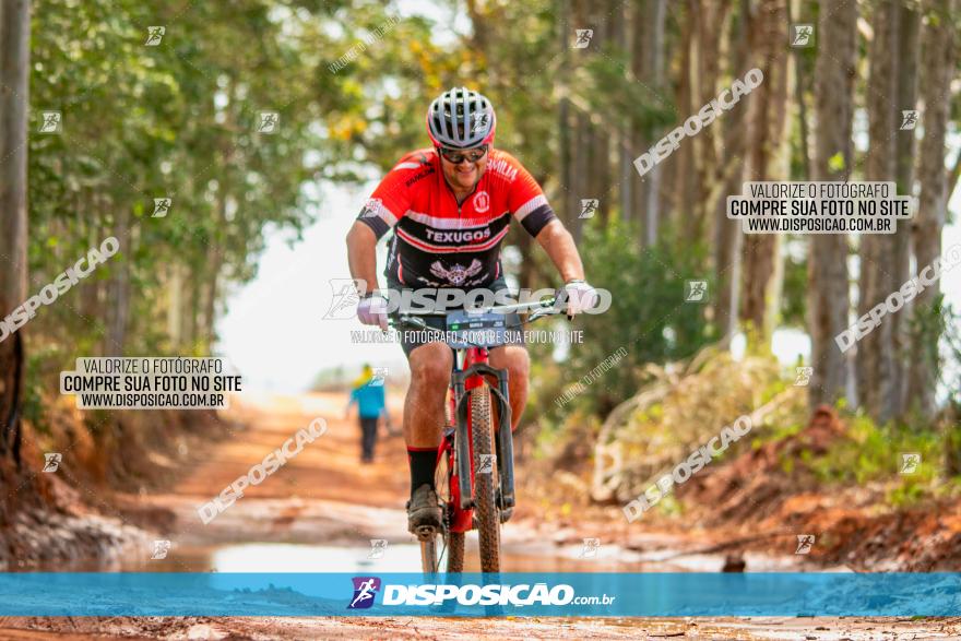 8ª Ultramaratona Pata de Onça - Domingo