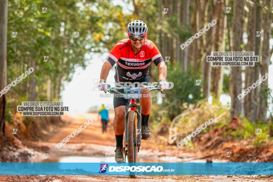 8ª Ultramaratona Pata de Onça - Domingo