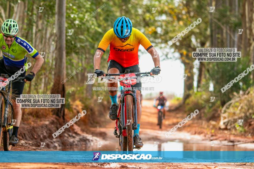 8ª Ultramaratona Pata de Onça - Domingo