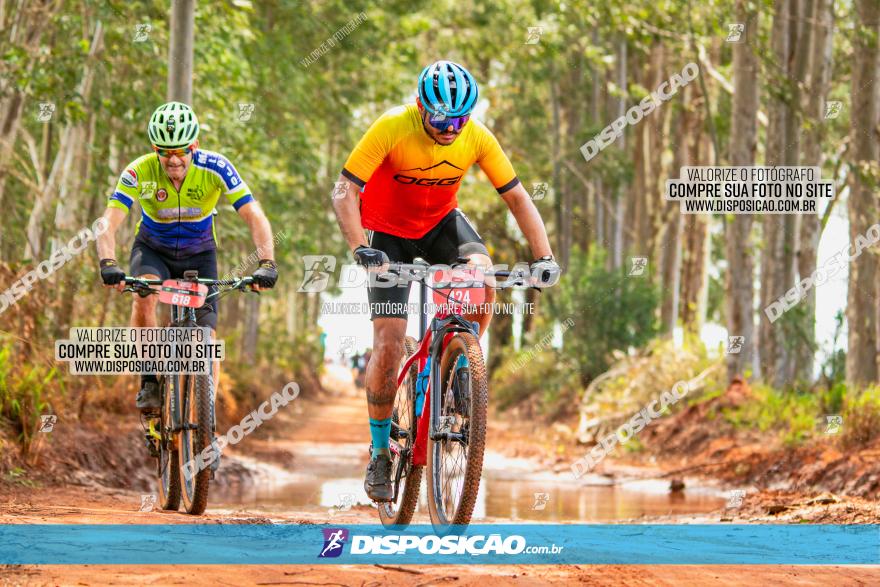 8ª Ultramaratona Pata de Onça - Domingo