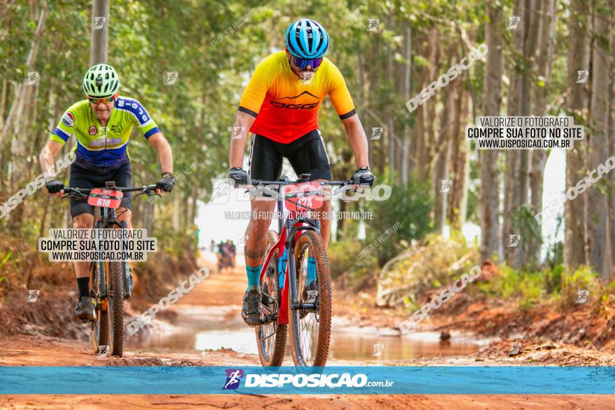 8ª Ultramaratona Pata de Onça - Domingo