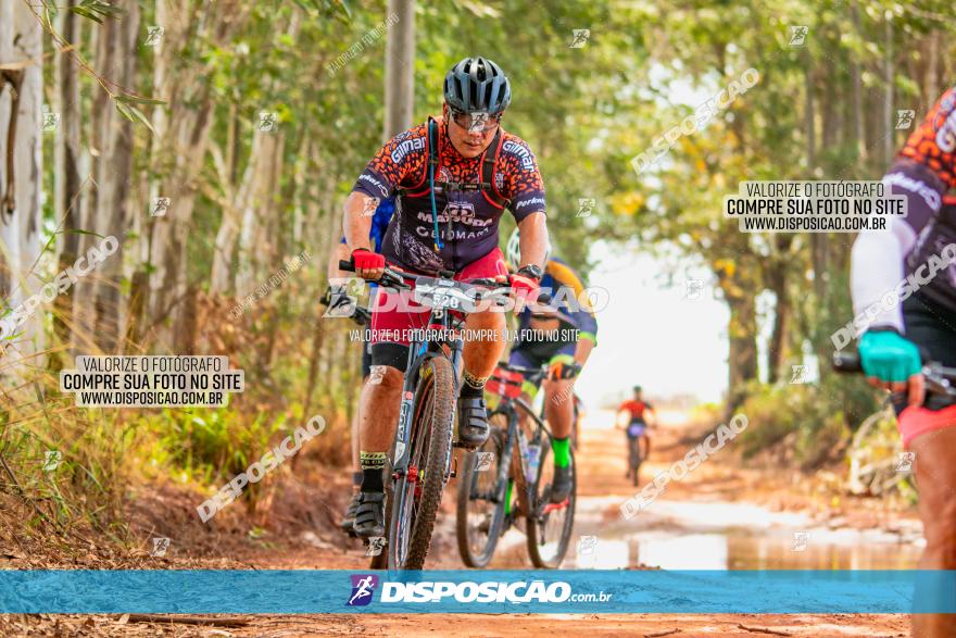 8ª Ultramaratona Pata de Onça - Domingo