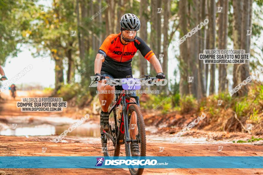 8ª Ultramaratona Pata de Onça - Domingo