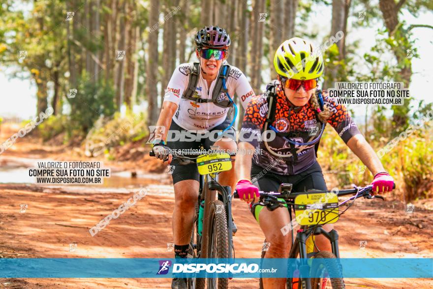 8ª Ultramaratona Pata de Onça - Domingo