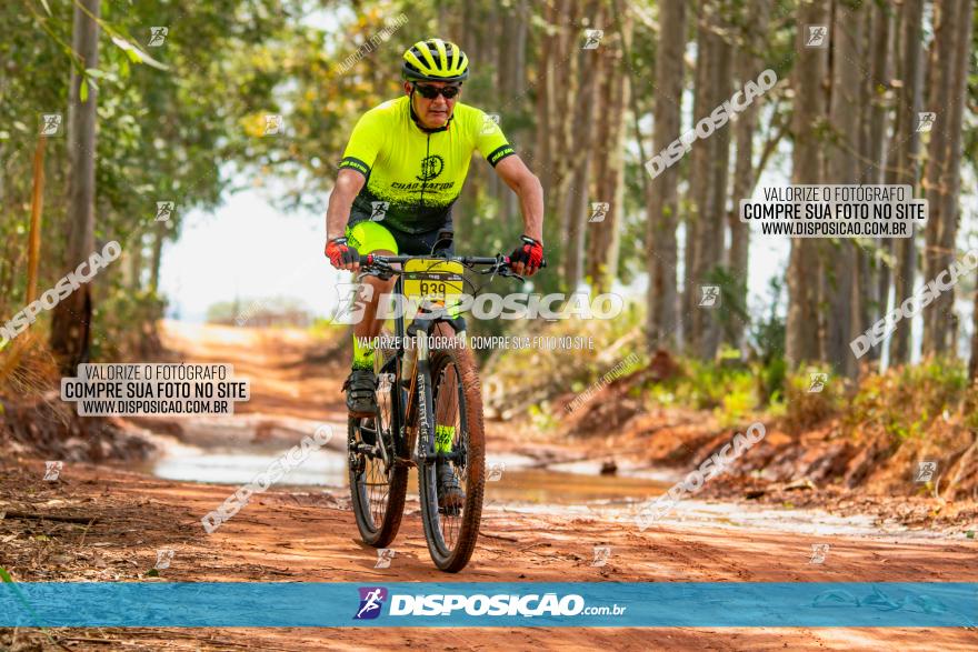 8ª Ultramaratona Pata de Onça - Domingo