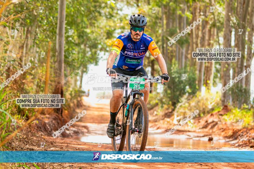 8ª Ultramaratona Pata de Onça - Domingo