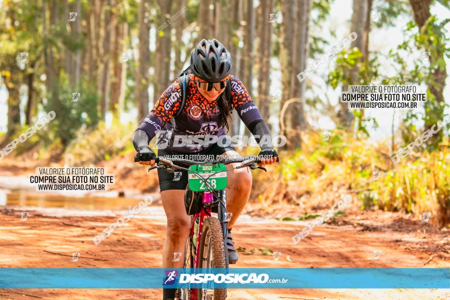 8ª Ultramaratona Pata de Onça - Domingo