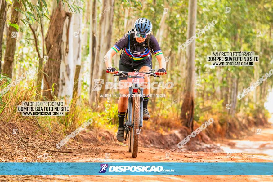 8ª Ultramaratona Pata de Onça - Domingo