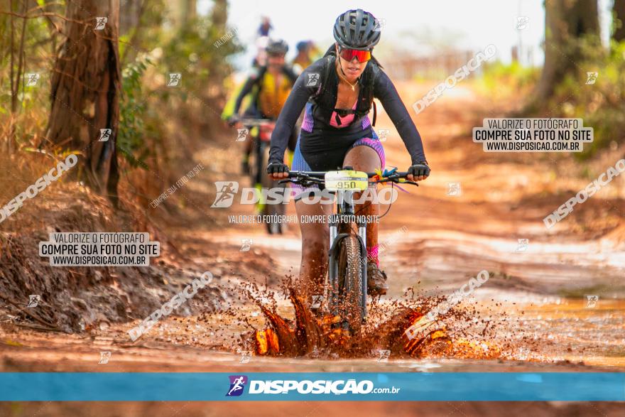 8ª Ultramaratona Pata de Onça - Domingo