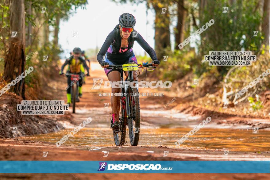 8ª Ultramaratona Pata de Onça - Domingo