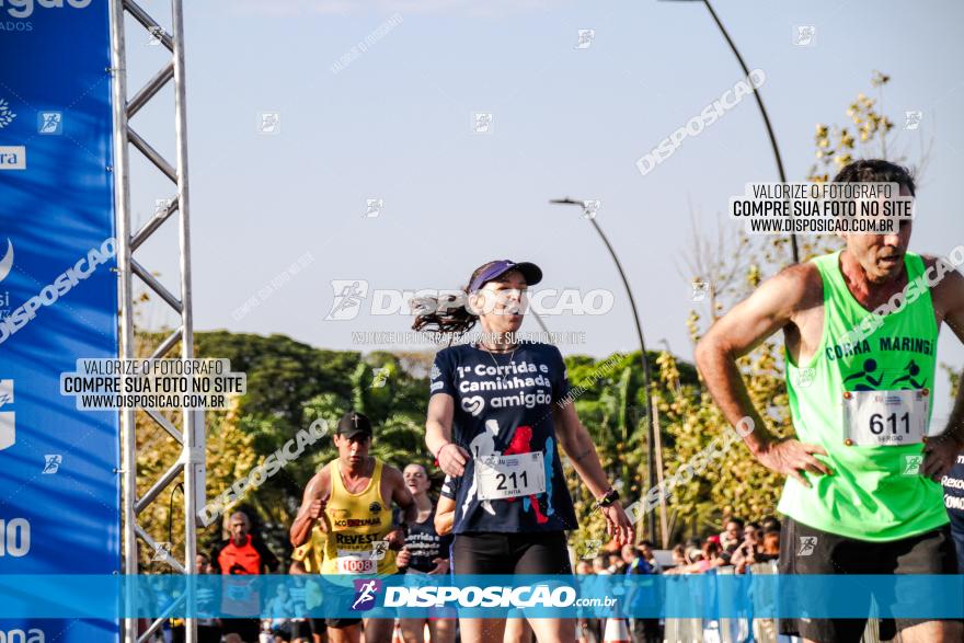 1ª Corrida Amigão