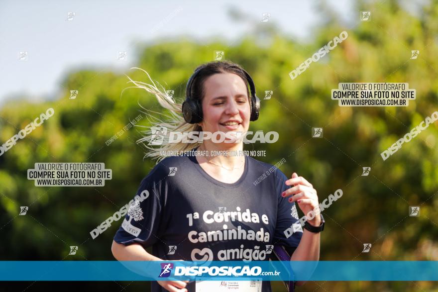 1ª Corrida Amigão