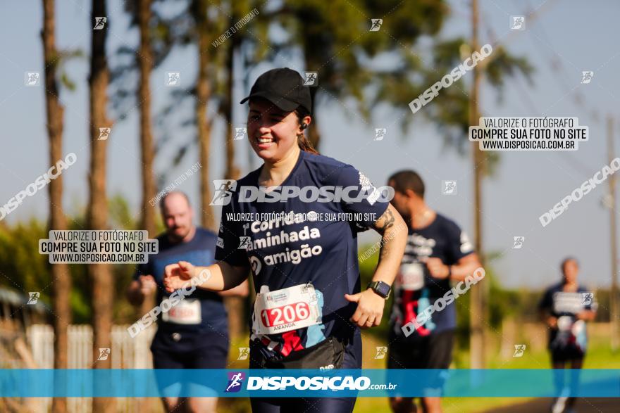 1ª Corrida Amigão