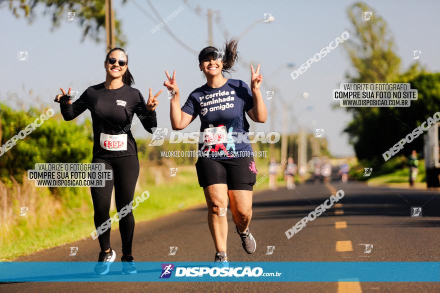 1ª Corrida Amigão