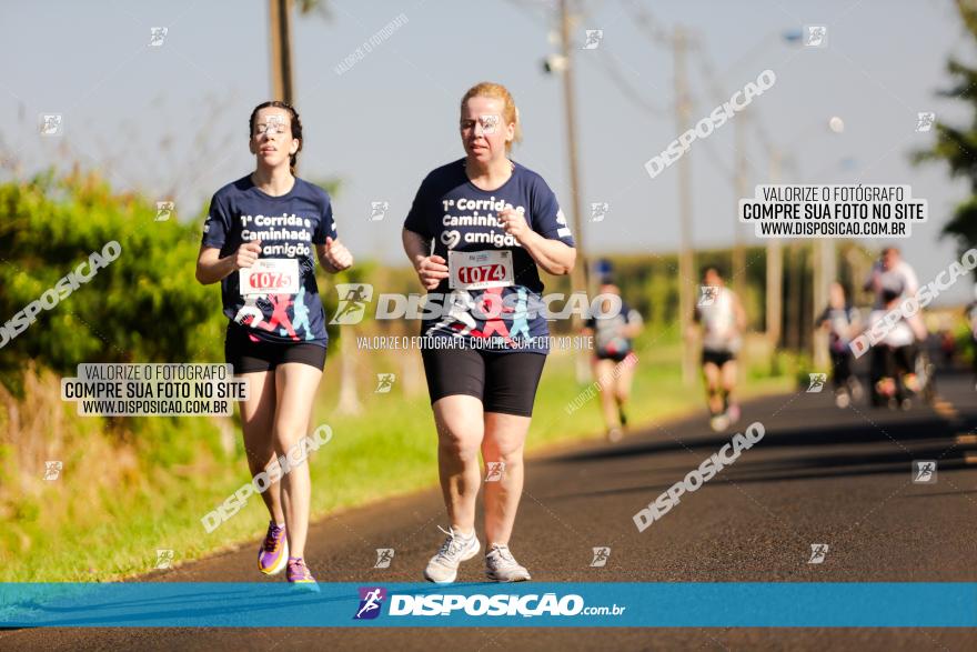 1ª Corrida Amigão