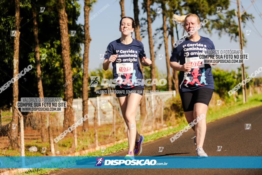 1ª Corrida Amigão