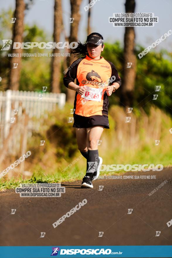 1ª Corrida Amigão