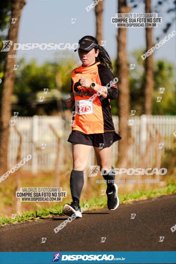 1ª Corrida Amigão