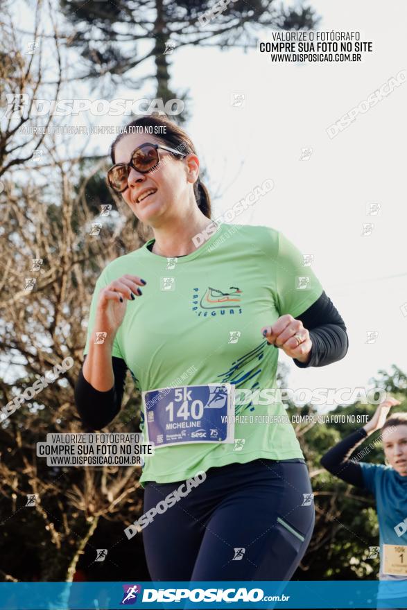 Circuito SESC de Corrida de Rua 2023 - Arapongas