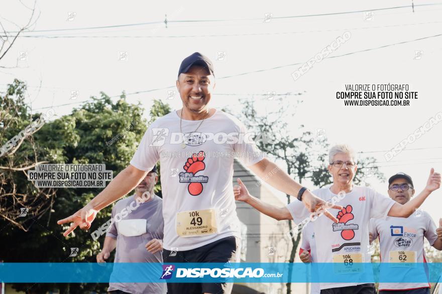 Circuito SESC de Corrida de Rua 2023 - Arapongas