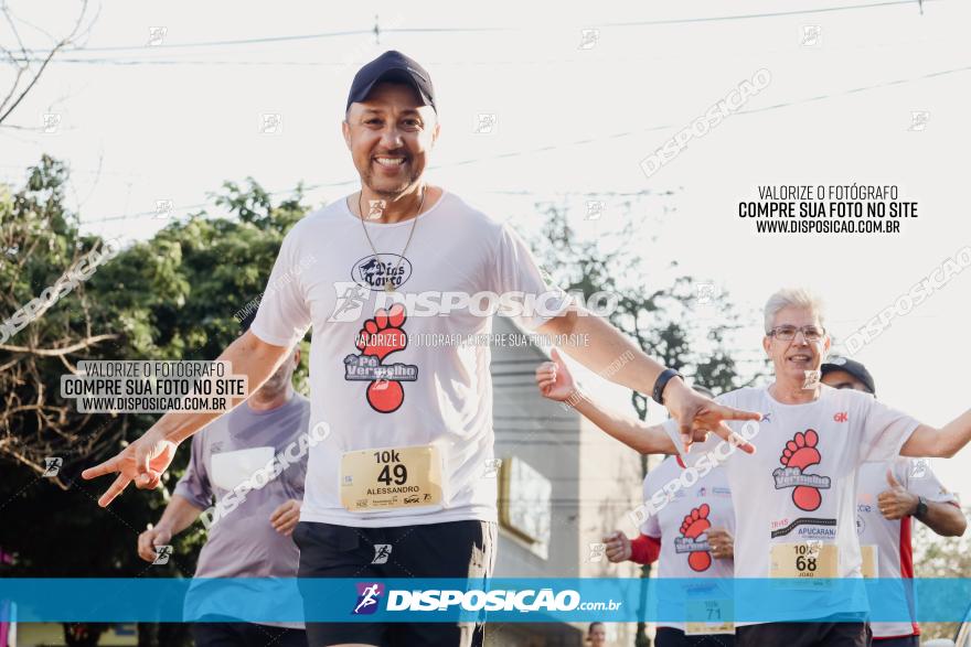 Circuito SESC de Corrida de Rua 2023 - Arapongas