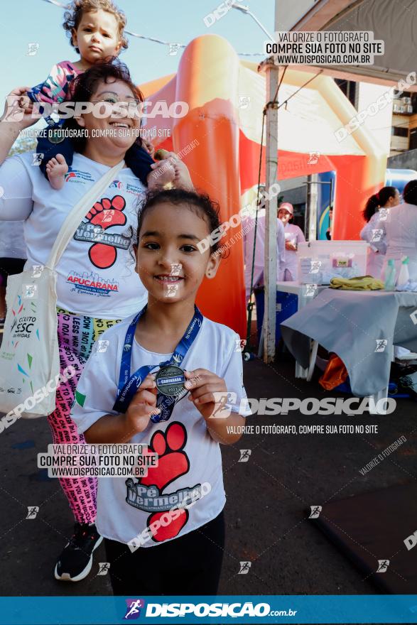 Circuito SESC de Corrida de Rua 2023 - Arapongas