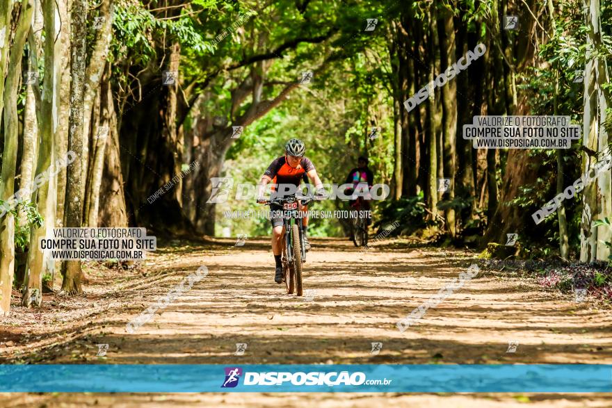 1º Pedal Beneficente Rotary Clube de Rolândia