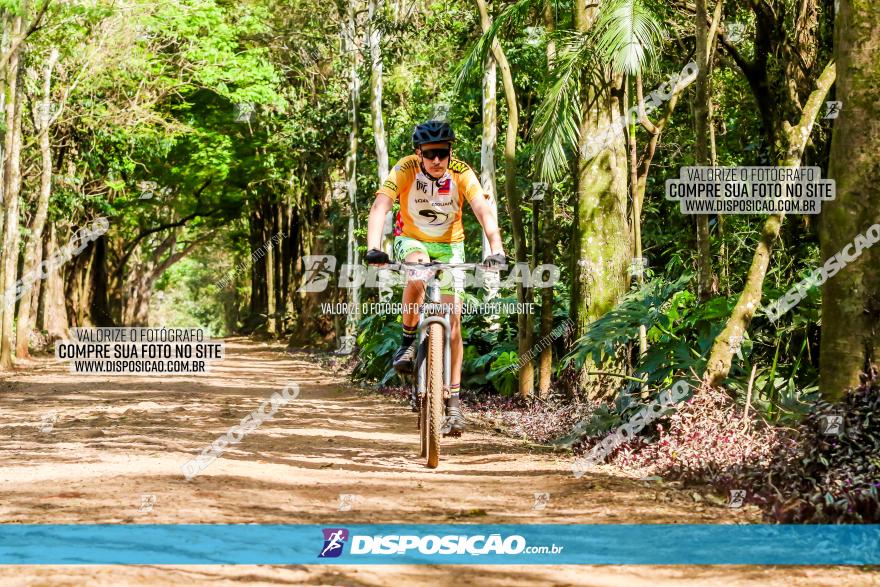 1º Pedal Beneficente Rotary Clube de Rolândia