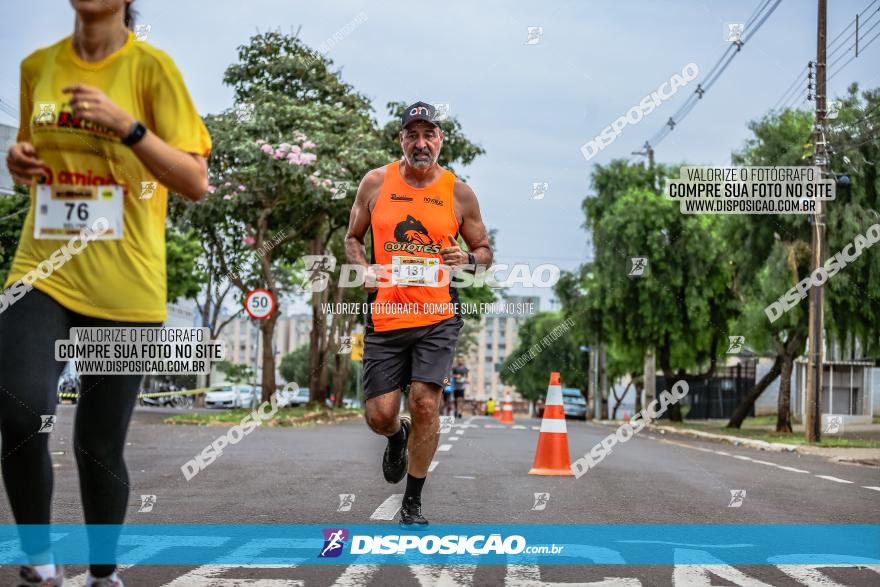 1ª Corrida da Acorremar