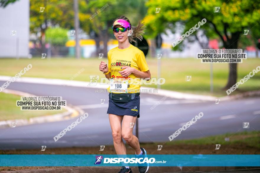 1ª Corrida da Acorremar