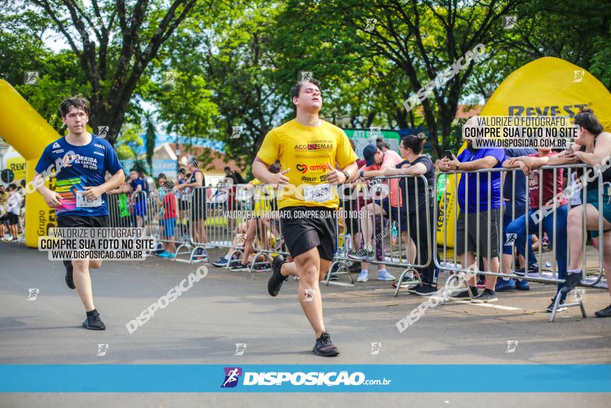 5ª Corrida 12 de Outubro