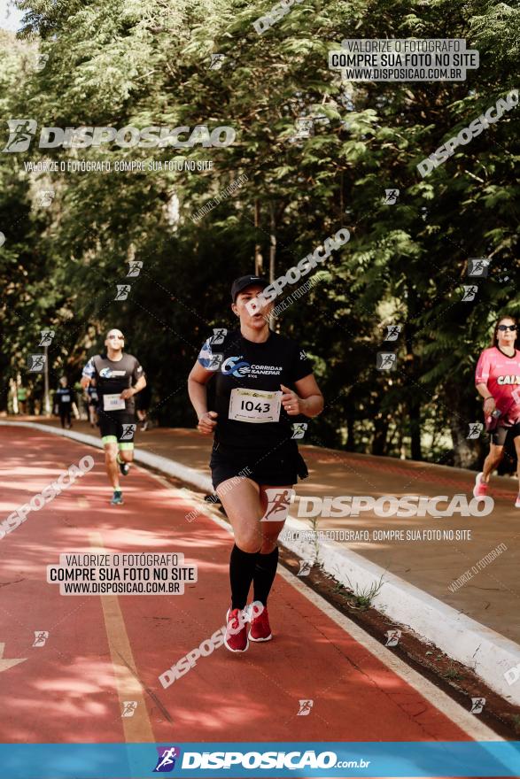 CORRIDAS SANEPAR 60 ANOS - ETAPA LONDRINA