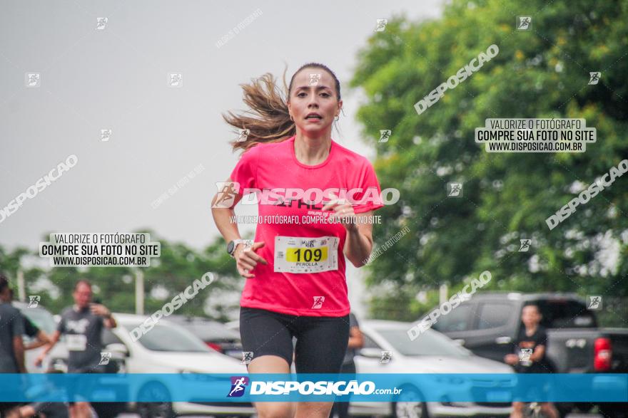 GELOBEL RUN 2023