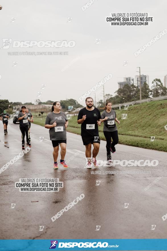 GELOBEL RUN 2023