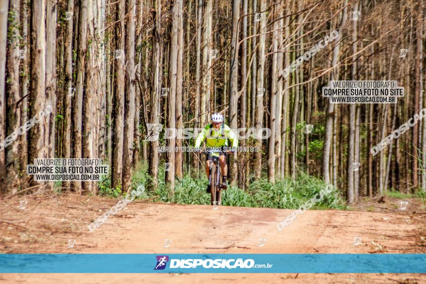 3° Desafio 100km de Terra