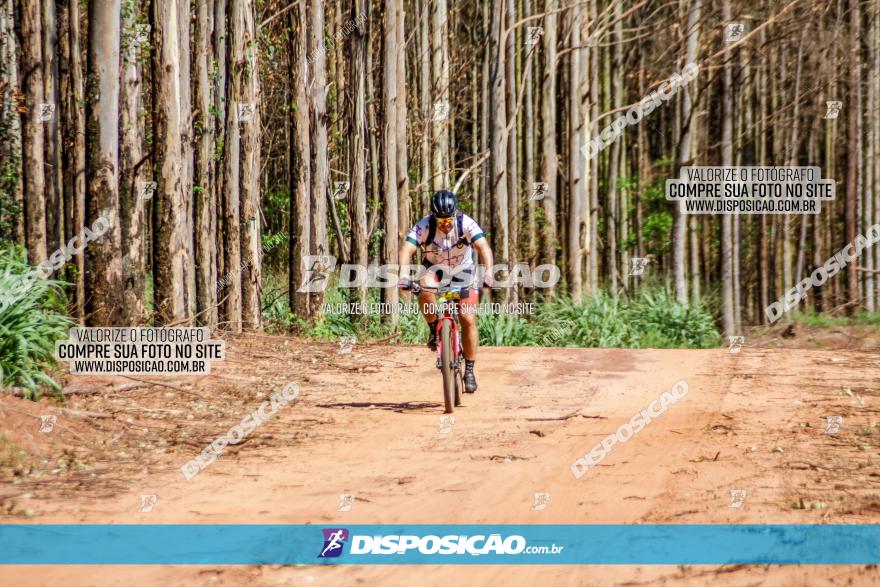 3° Desafio 100km de Terra