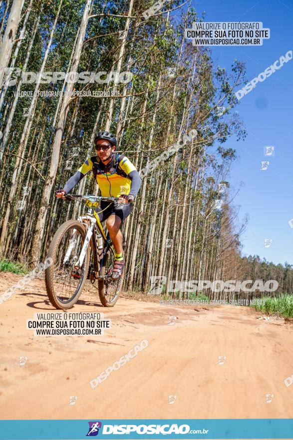 3° Desafio 100km de Terra