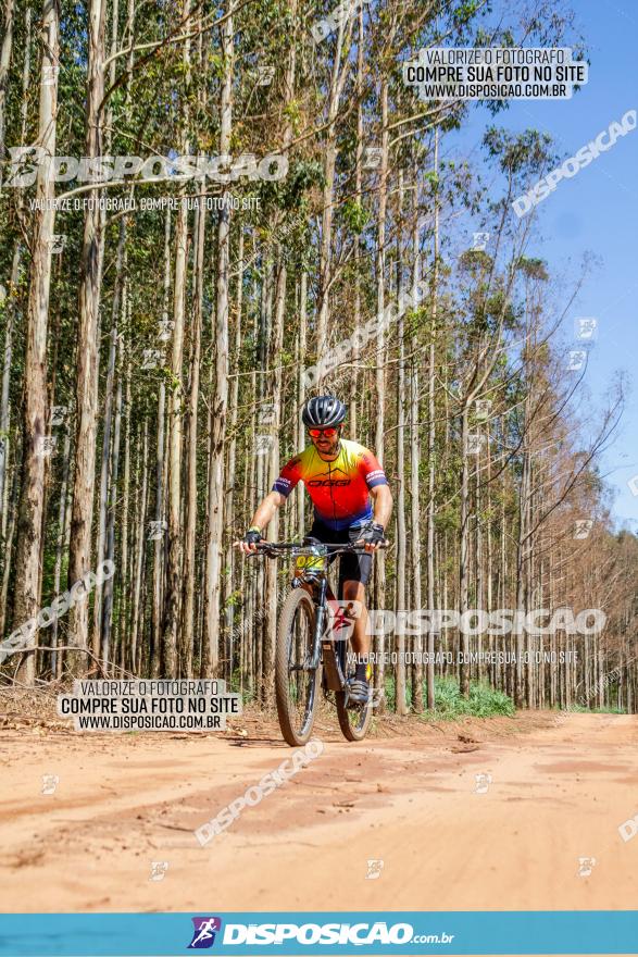 3° Desafio 100km de Terra