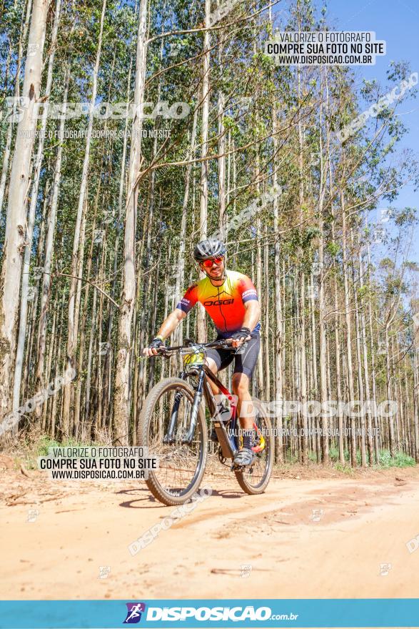 3° Desafio 100km de Terra