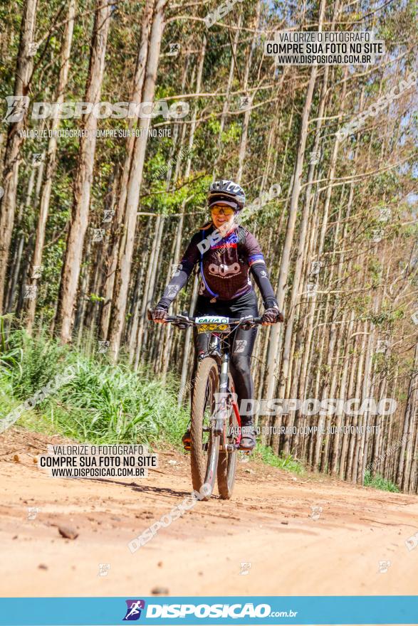 3° Desafio 100km de Terra