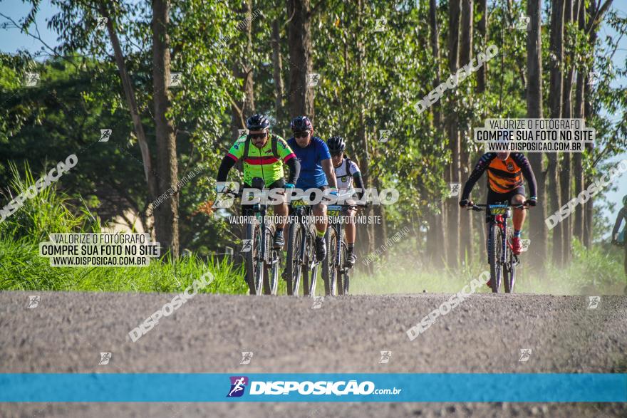 3° Desafio 100km de Terra