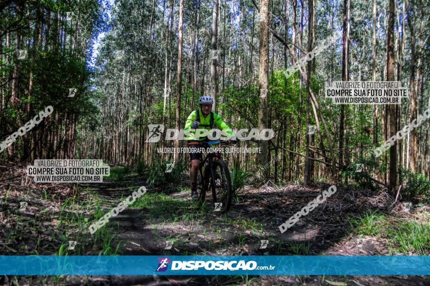 3° Desafio 100km de Terra