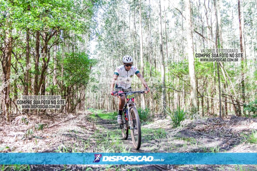 3° Desafio 100km de Terra