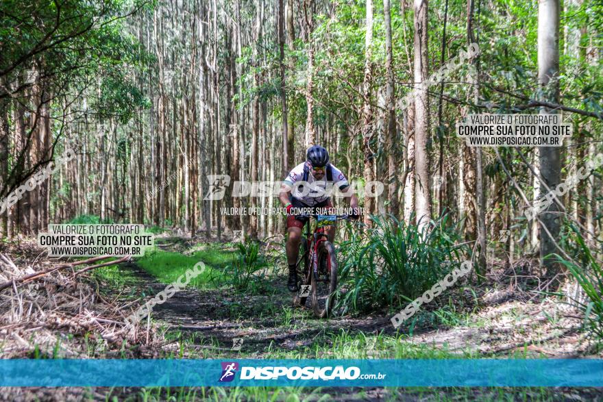 3° Desafio 100km de Terra