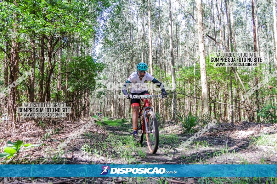 3° Desafio 100km de Terra