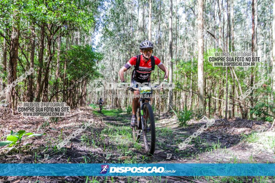 3° Desafio 100km de Terra