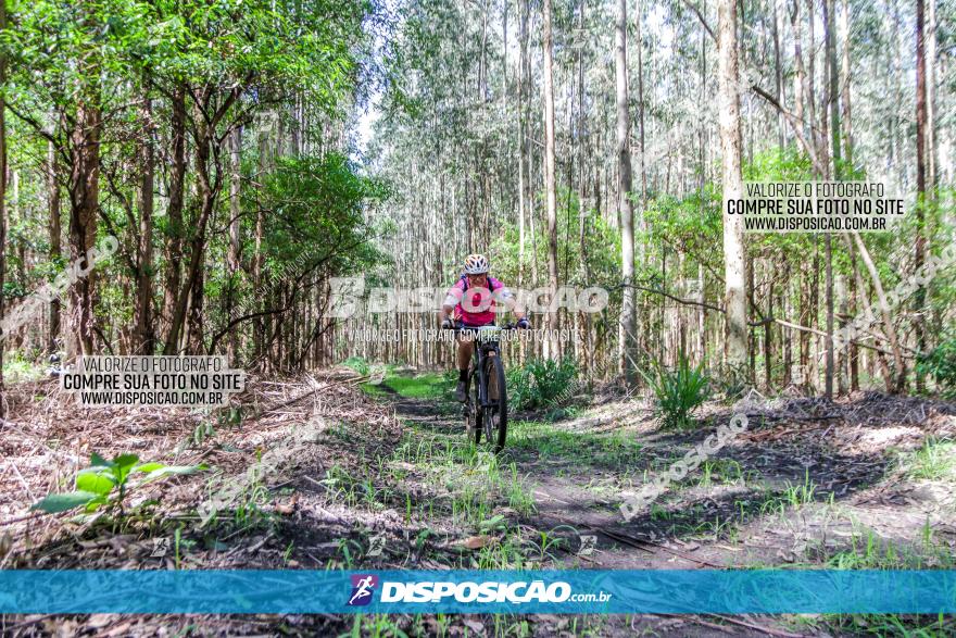 3° Desafio 100km de Terra